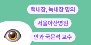 서울아산병원 안과 녹내장 백내장 전문의 국문석 교수 입니다.