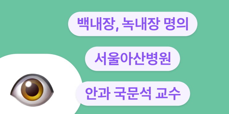 서울아산병원 안과 녹내장 백내장 전문의 국문석 교수 서울아산병원 녹내장 백내장 국문석교수2