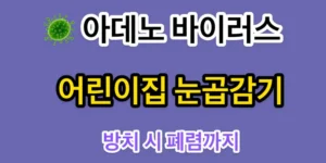 어린이집-눈곱감기-아데노바이러스 알아보기